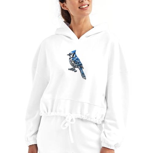 Silver Blue Jay on Perch - Women’s Cropped Hoodie