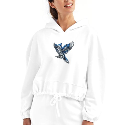 Silver Blue Jay Open Wing Perch - Women’s Cropped Hoodie