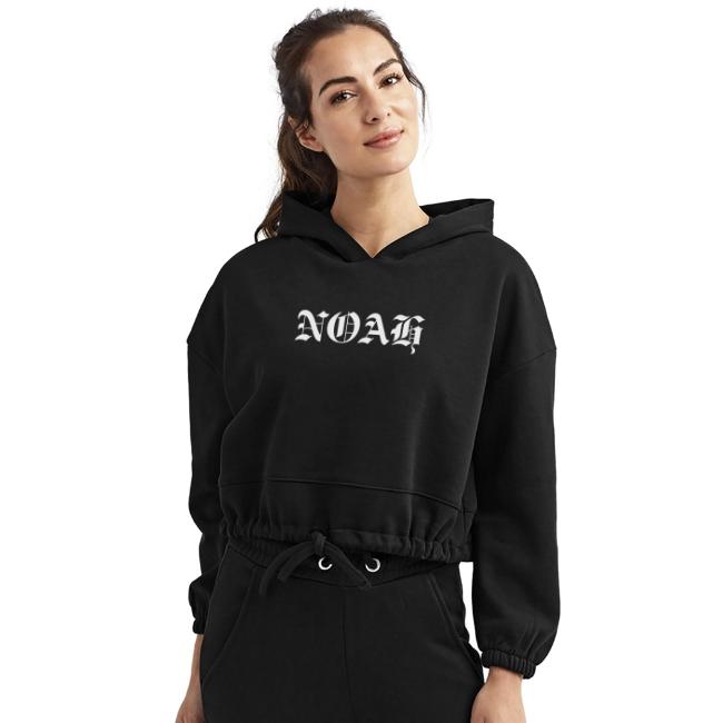 NOAH logo OLD ENG