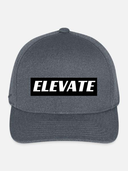 Zebra Elevate Logo - Flexfit Melange Baseball Cap - dark heather gray