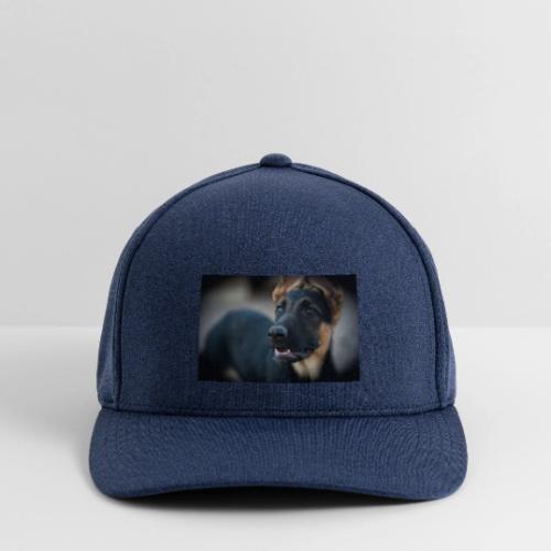 289888654 10221001879384096 5095516172926146445 n - Flexfit  Melange Baseball Cap