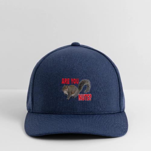 Are You Nuts? - Flexfit  Melange Baseball Cap