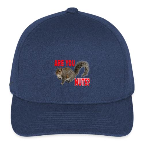 Are You Nuts? - Flexfit  Melange Baseball Cap