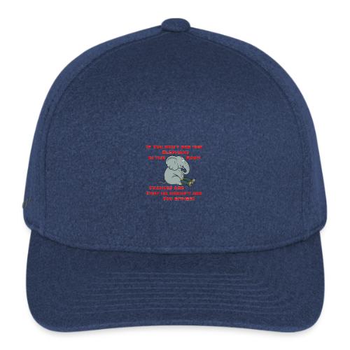 Elephant in the Room Meme - Flexfit  Melange Baseball Cap