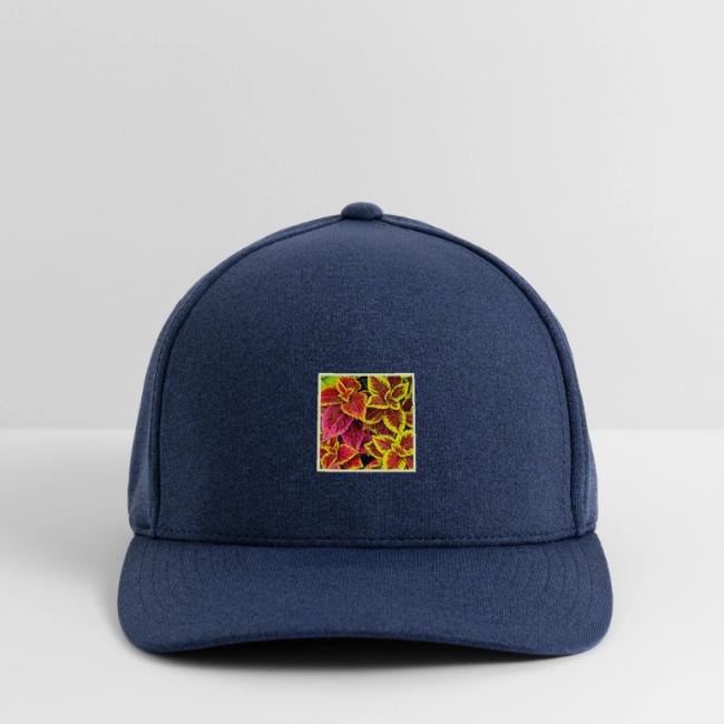 Coleus Leaf Burst Design