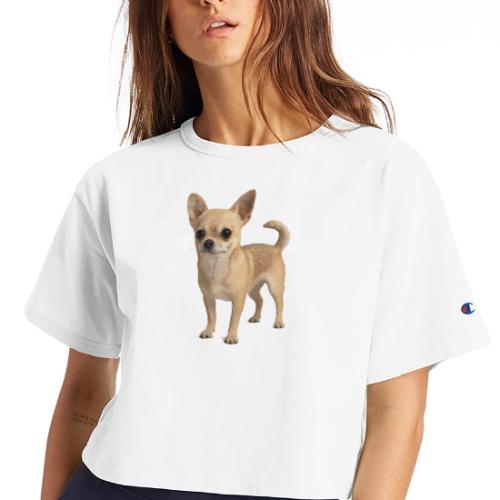 Chihuahua - Champion Women’s Cropped T-Shirt
