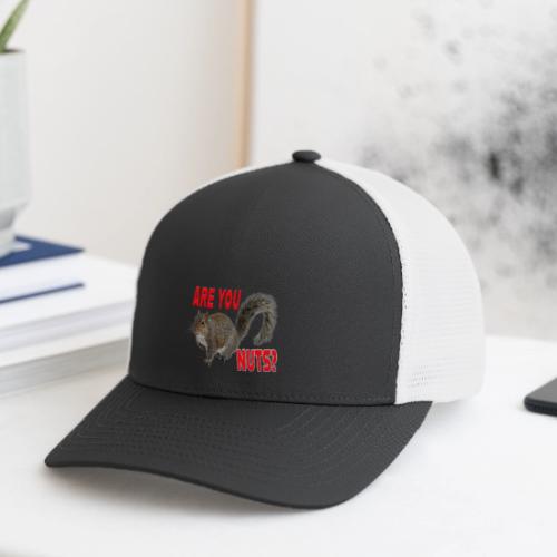 Are You Nuts? - Flexfit Fitted Baseball Cap