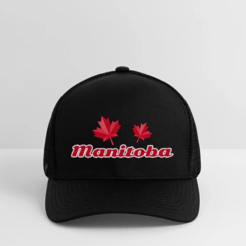 Manitoba, province of Canada - Flexfit Fitted Baseball Cap