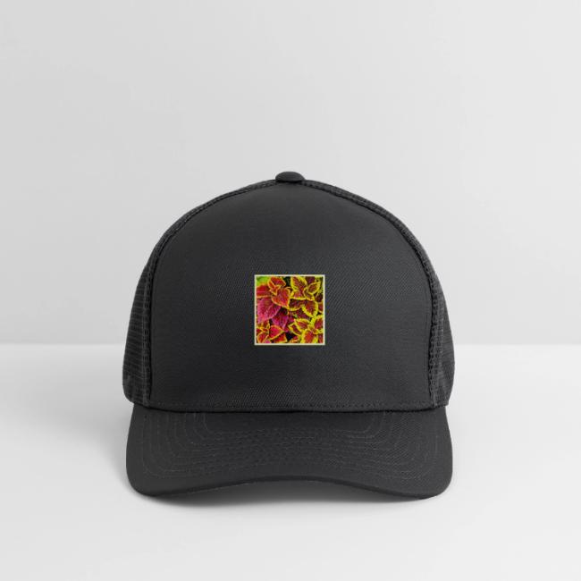 Coleus Leaf Burst Design