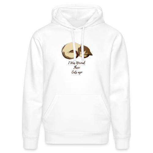 I Was Normal Three Cats Ago Funny Cat T-Shirt - Stanley/Stella Drummer Unisex Organic Hoodie
