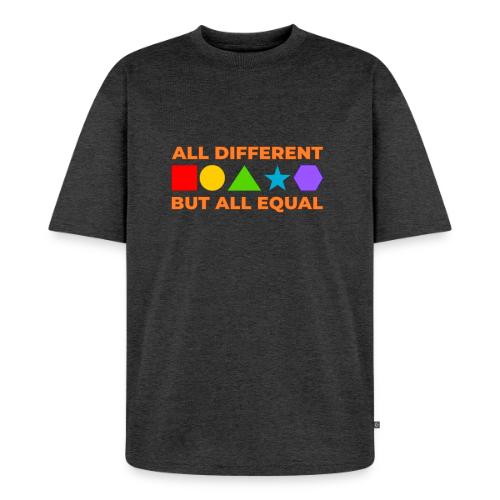 United in Diversity - Unisex Premium Oversized Organic T-Shirt