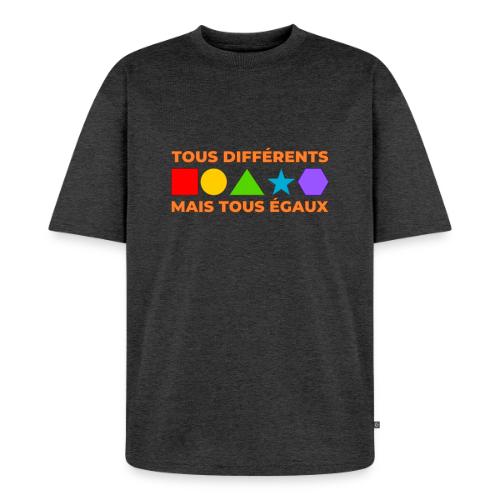 United in Our Differences - Unisex Premium Oversized Organic T-Shirt