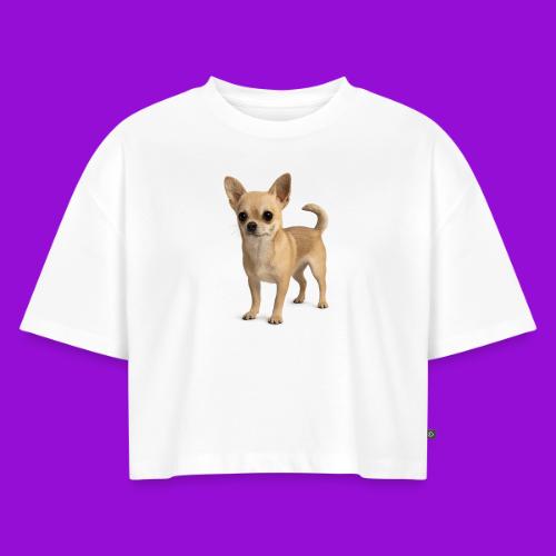 Chihuahua - Women's Oversized Organic Cropped T-Shirt