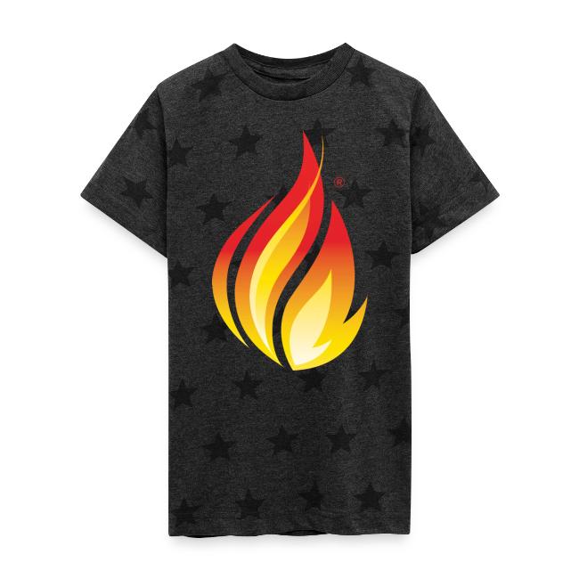 HL7 FHIR Flame Logo