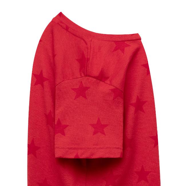 RO Frear Park Sledding Club Distressed Dark