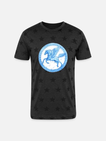 Pegasus - Unisex Adult Star Printed T-Shirt - charcoal star