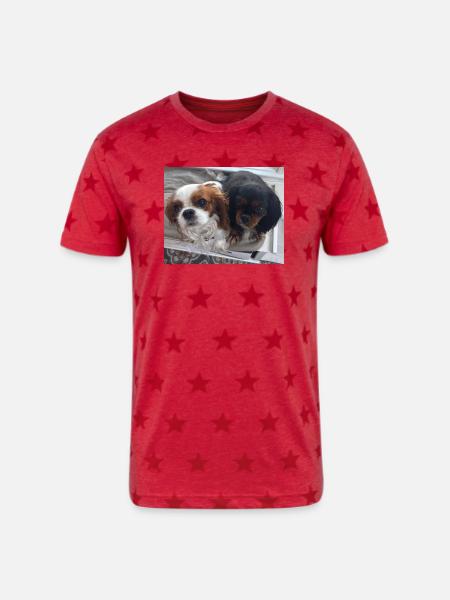 Cavalier Duo on Bench - Unisex Adult Star Printed T-Shirt - red star