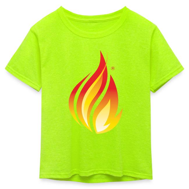 HL7 FHIR Flame Logo