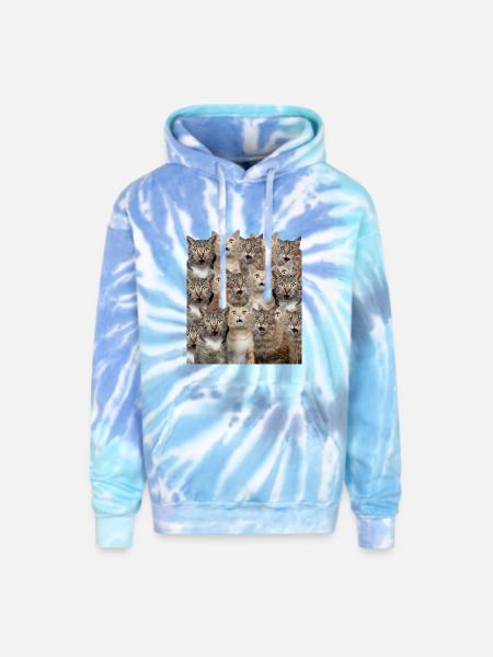 Surprised cats - Adult Tie Dye Hoodie - blue lagoon