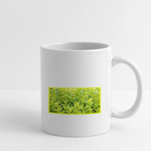 Mint Plants Cute Photo. Buy Now - Coffee/Tea Mug