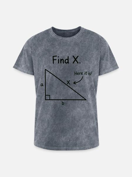 Find X Algebra Math Joke - Washed Unisex T-Shirt - mineral grey