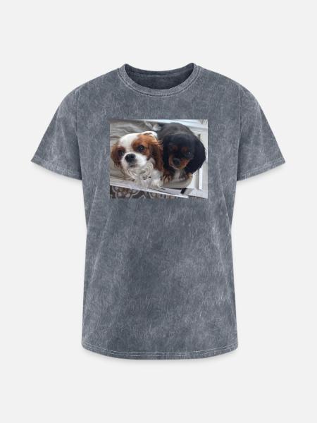 Cavalier Duo on Bench - Washed Unisex T-Shirt - mineral grey