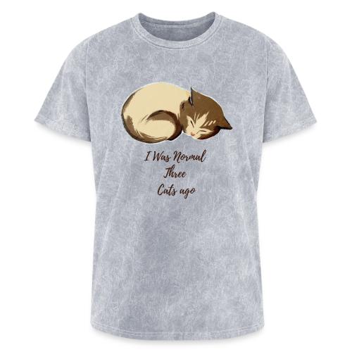 I Was Normal Three Cats Ago Funny Cat T-Shirt - Washed Unisex T-Shirt