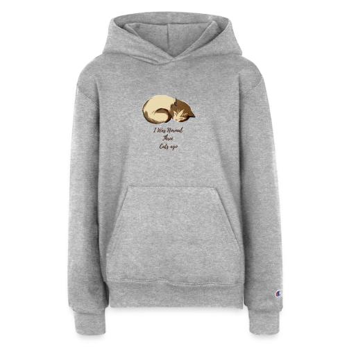 I Was Normal Three Cats Ago Funny Cat T-Shirt - Champion Youth Hoodie