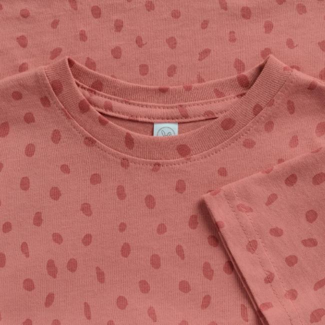 Spotted Gecko Desert Sunset