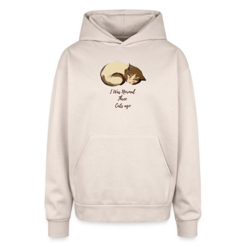 I Was Normal Three Cats Ago Funny Cat T-Shirt - Oversized Hooded Sweatshirt