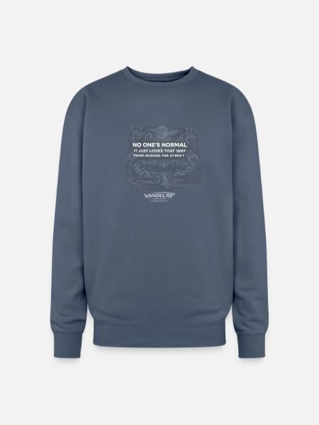 No One's Normal - Oversized Crewneck Sweatshirt - stone blue