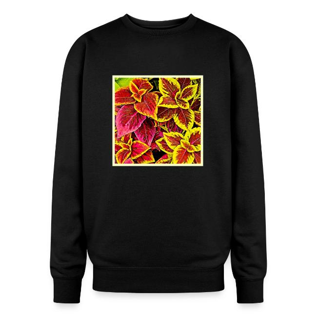 Coleus Leaf Burst Design