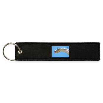 Giant Dinosaur Head Silhouette on Sky - Jet Tag Keychain - black - Front