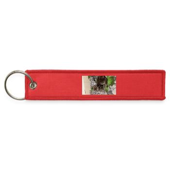 Cozy Cat on Verdant Blanket - Jet Tag Keychain - red - Front