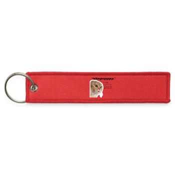 Curious Cat Glimpse - Jet Tag Keychain - red - Front
