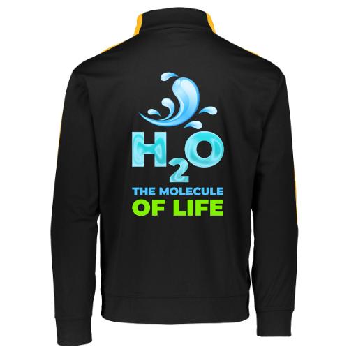 The Molecule of Life - Augusta Sportswear Adult Medalist 2.0 Pullover