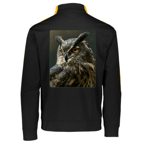 Eurasian Eagle Owl Portrait Design - Augusta Sportswear Adult Medalist 2.0 Pullover