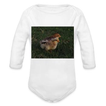 Baby Chicks in Grass 2 - Organic Long Sleeve Baby Bodysuit - heather grey - Front