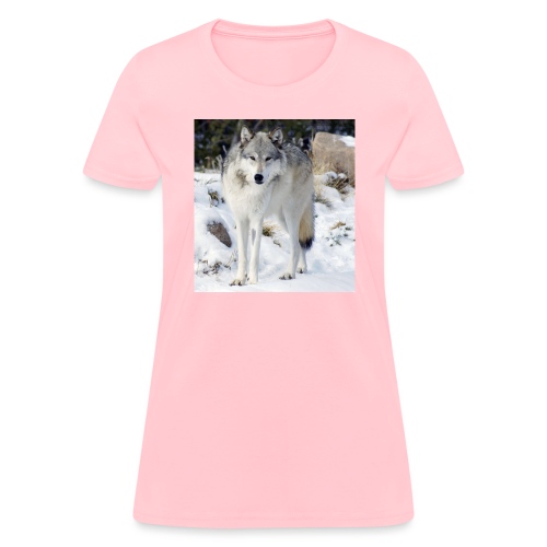 Canis lupus occidentalis - Women's T-Shirt