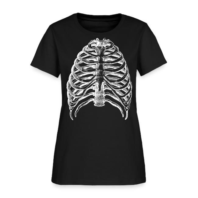 Human Rib Cage