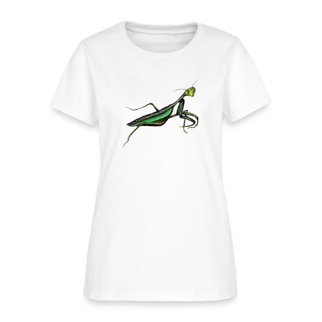 Praying mantis