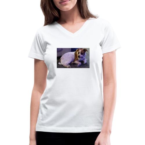 A Dog's Life - Women's V-Neck T-Shirt