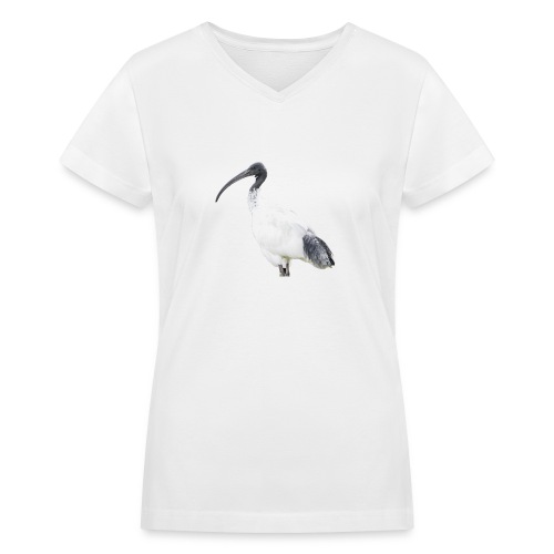 IBIS - Women's V-Neck T-Shirt