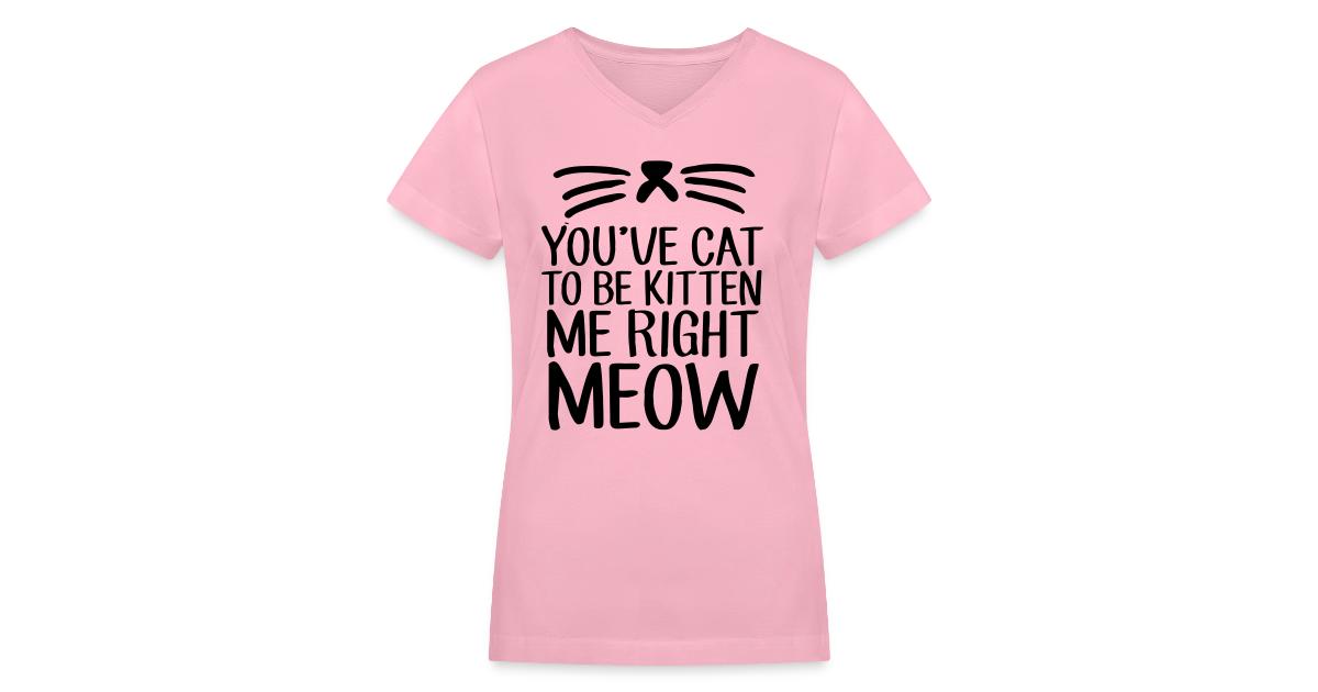 Stay Fly Clothing Youve Cat To Be Kitten Me Right Meow Womens V Neck T Shirt
