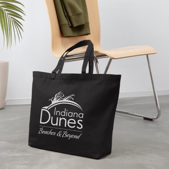 Indiana Dunes Beaches and Beyond