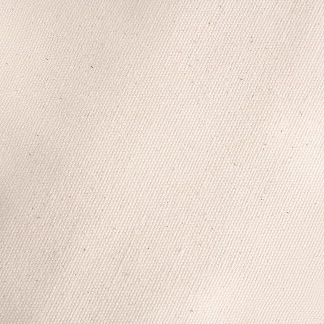 Paulie & Tony for Co-President 2024