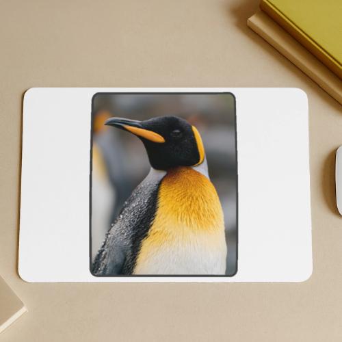 King Penguin Portrait Design - Gaming Mousepad