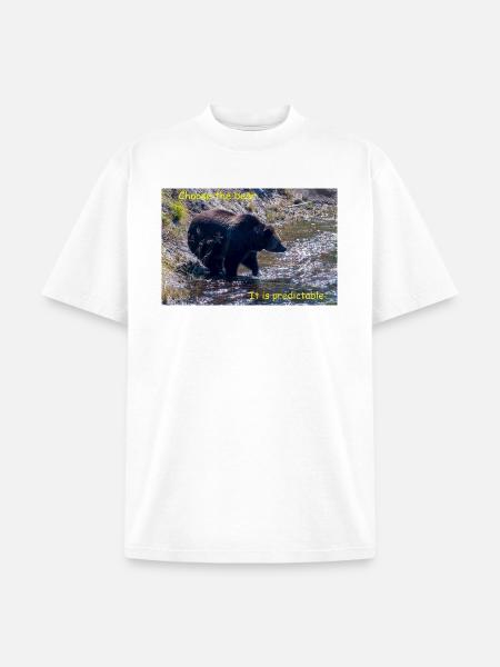 Choose The Bear - Unisex Garment Dyed T-Shirt - white