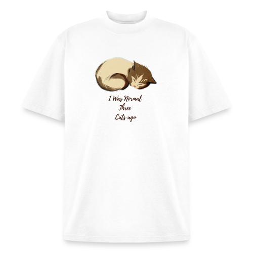 I Was Normal Three Cats Ago Funny Cat T-Shirt - Heavyweight Washed Unisex T-Shirt