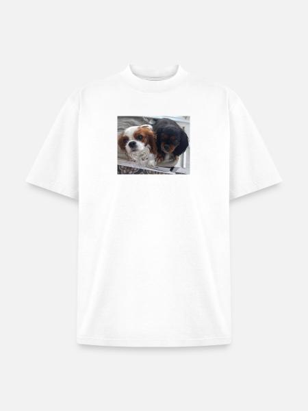 Cavalier Duo on Bench - Unisex Garment Dyed T-Shirt - white